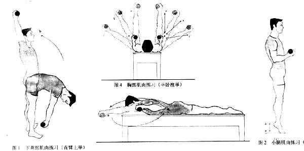 老年人啞鈴健身計劃