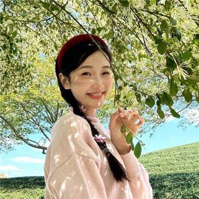 屋顶的公寓